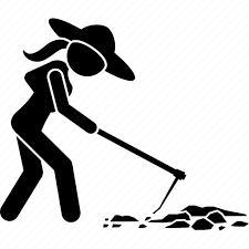 Sesame Crop Farming Guide - Sesame growers