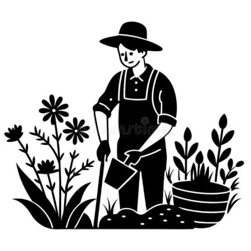 Sesame Crop Farming Guide - Sesame growers